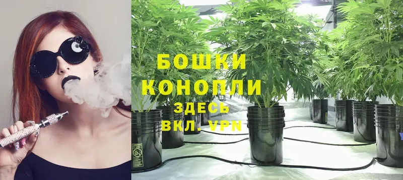 Бошки Шишки SATIVA & INDICA  darknet какой сайт  Покров  купить закладку 